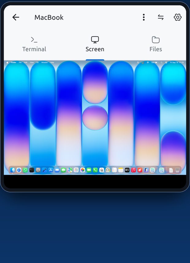 Live desktop on the phone