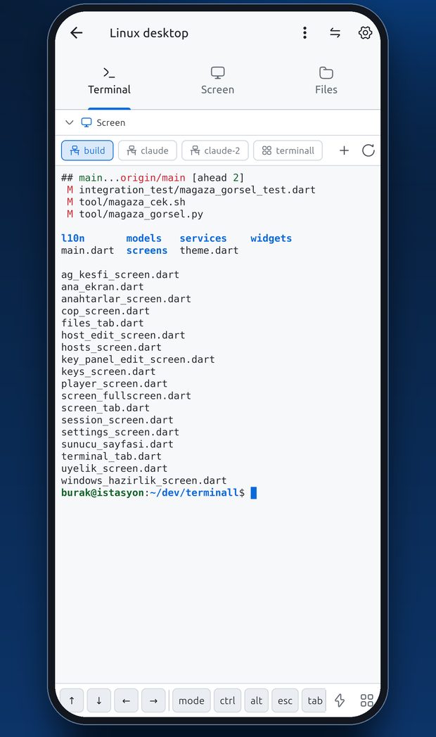 Terminal with persistent sessions